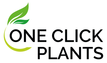 One Click Plants