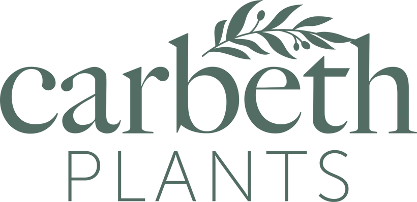 Carbeth Plants