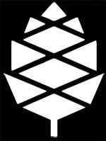 PINE64 Coupon Codes for April 2026