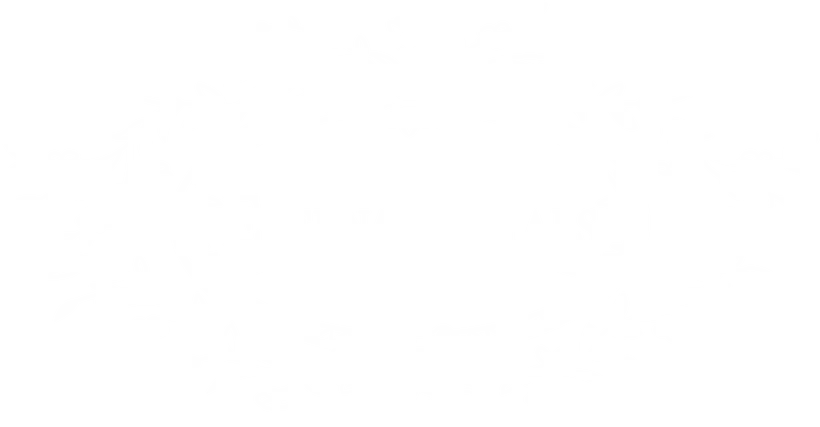 Eternal Petals