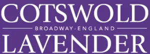 Cotswold Lavender