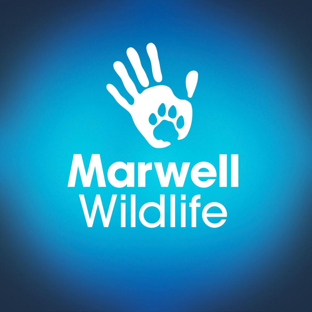 Marwell Zoo
