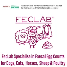 Feclab