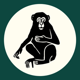 Monkey Forest