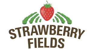 Strawberryfields