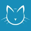 Cool Cat Collars