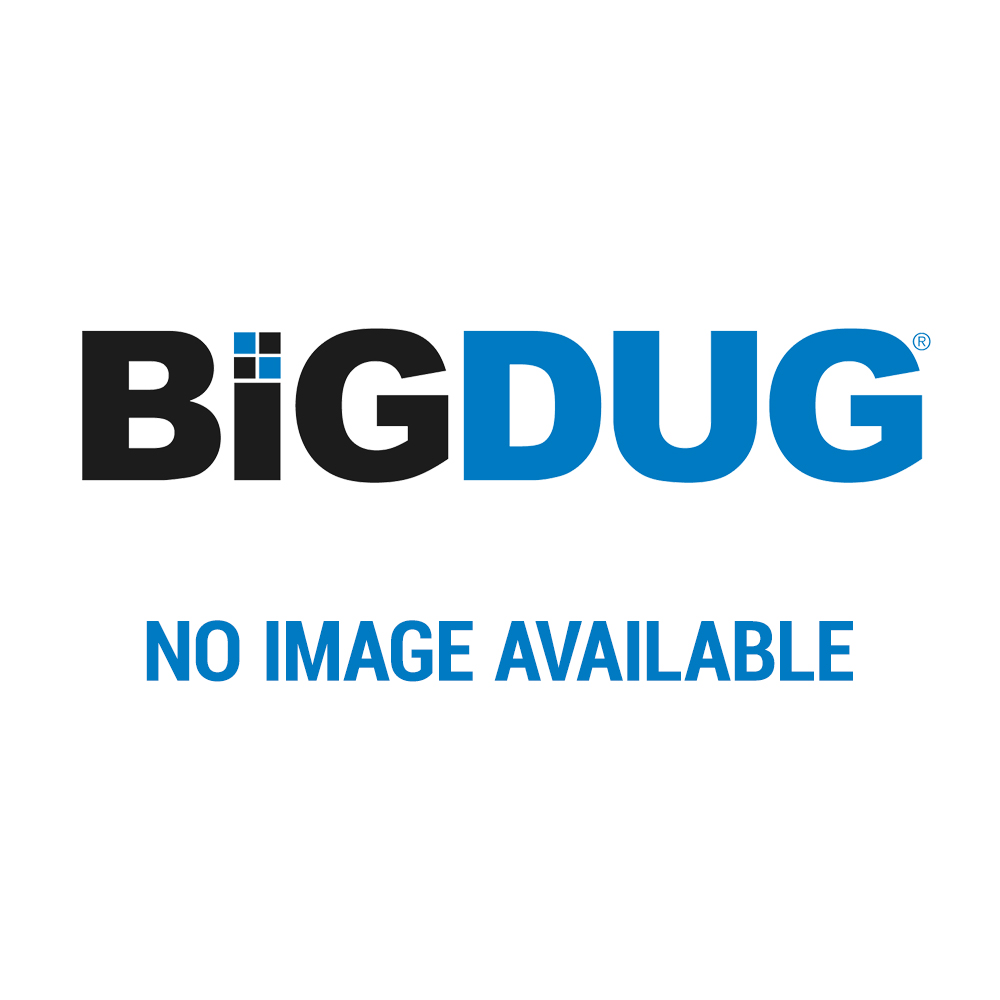 BiGDUG