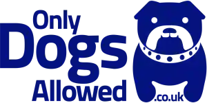 Only Dogs Allowed