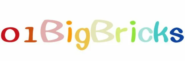 01Bigbricks