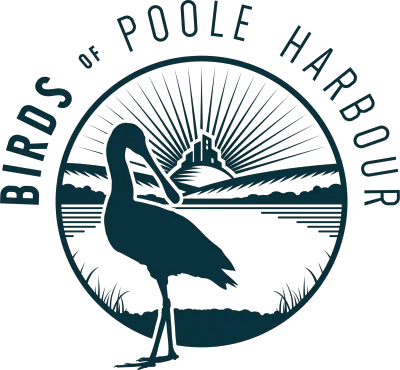 Birds Of Poole Harbour