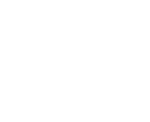 Vegetarian Express