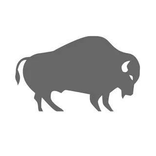 Bison Parts