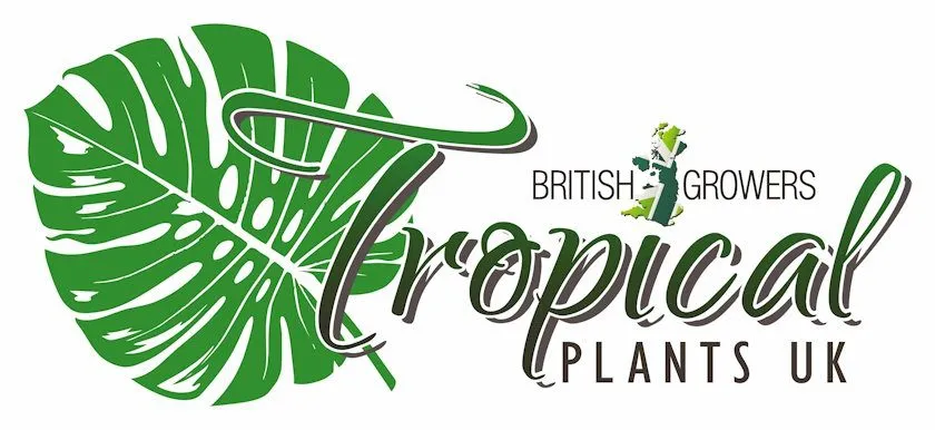 Tropical Plants Uk