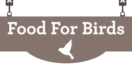 Food For Birds