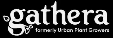 Gathera