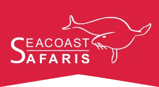 Seacoast Safaris