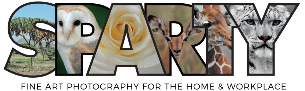 Sparty Coupon Codes for April 2026