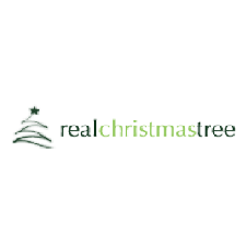 Real Christmas Trees