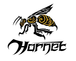 Hornet Exhausts