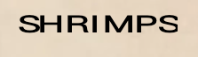 Shrimps